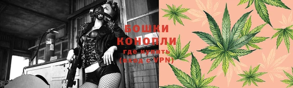 ПСИЛОЦИБИНОВЫЕ ГРИБЫ Баксан