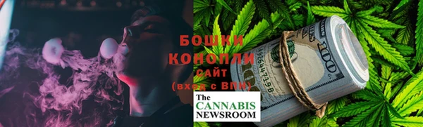 ПСИЛОЦИБИНОВЫЕ ГРИБЫ Баксан