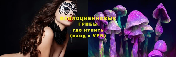 ПСИЛОЦИБИНОВЫЕ ГРИБЫ Баксан