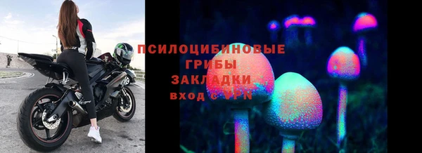 ПСИЛОЦИБИНОВЫЕ ГРИБЫ Баксан