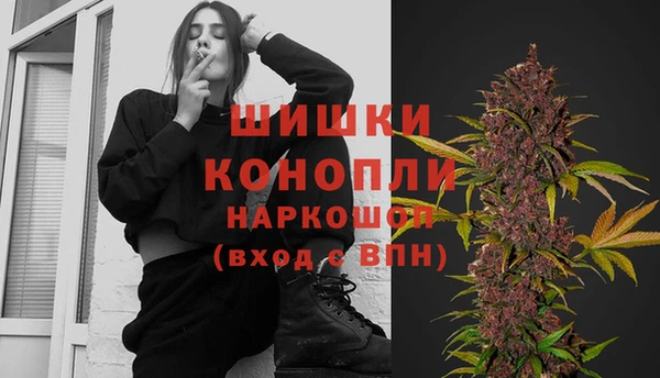 ПСИЛОЦИБИНОВЫЕ ГРИБЫ Баксан