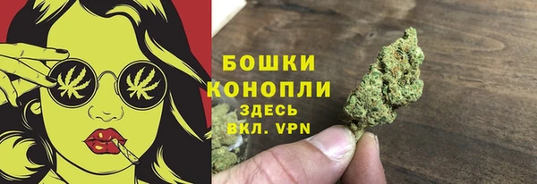 ПСИЛОЦИБИНОВЫЕ ГРИБЫ Баксан